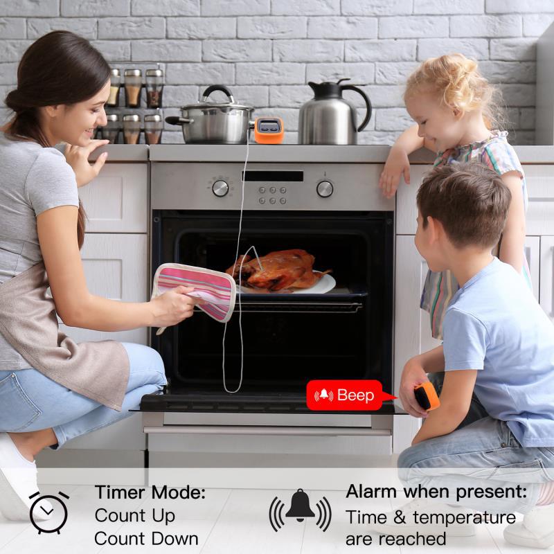Yeni Kablosuz Dijital Gıda Mut - Meat Thermometer Camp incelemesi ve fiyatı